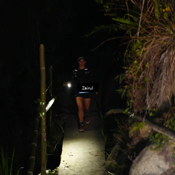 Runner Photo 5386206