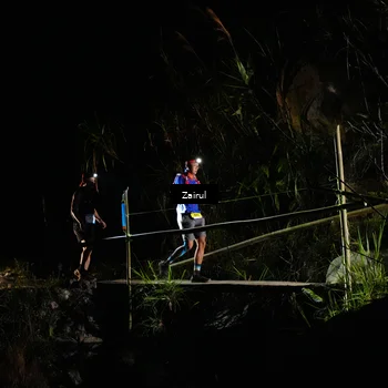 Runner Photo 5386902