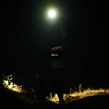Runner Photo 5387093
