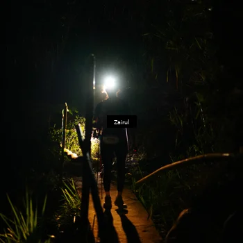 Runner Photo 5387139