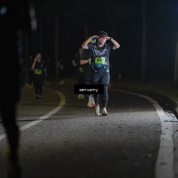 Runner Photo 5387628