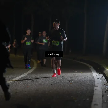 Runner Photo 5387735
