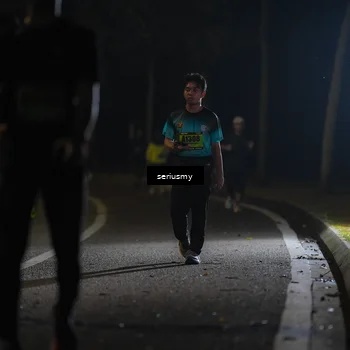 Runner Photo 5388631