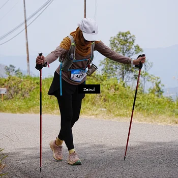 Runner Photo 5388676