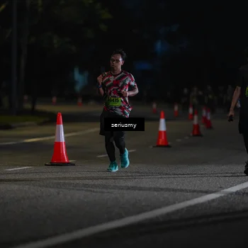 Runner Photo 5391050