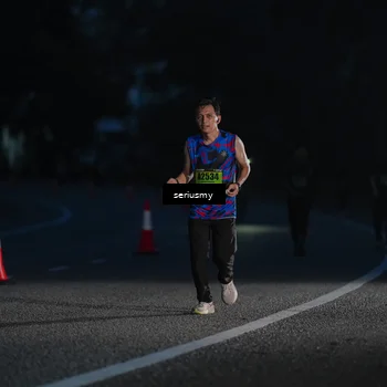 Runner Photo 5391420