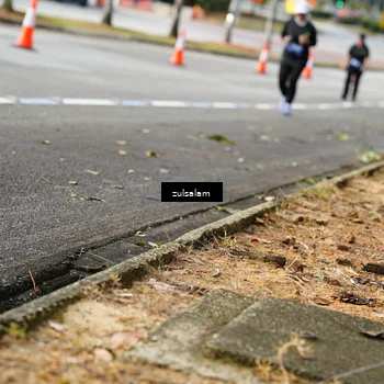 Runner Photo 5392511