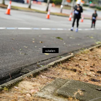 Runner Photo 5392515