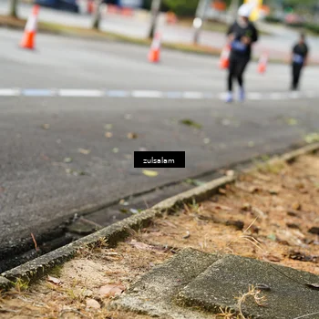 Runner Photo 5392525
