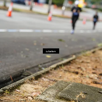 Runner Photo 5392530
