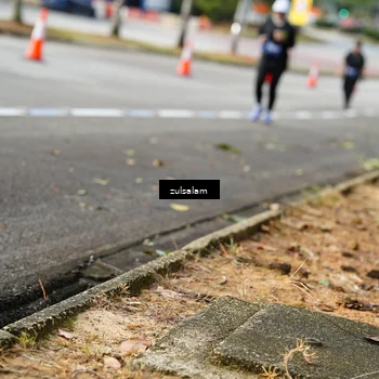 Runner Photo 5392532