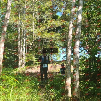 Runner Photo 5401