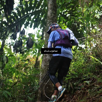 Runner Photo 5402937