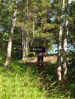 Runner Photo 5409