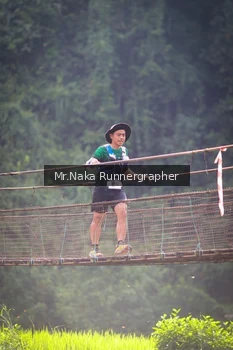 Runner Photo 5409671