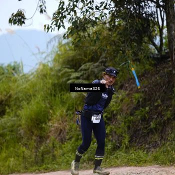 Runner Photo 5411761