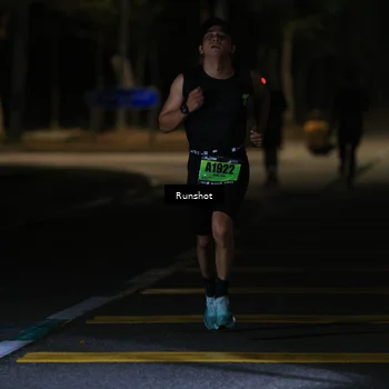 Runner Photo 5413669