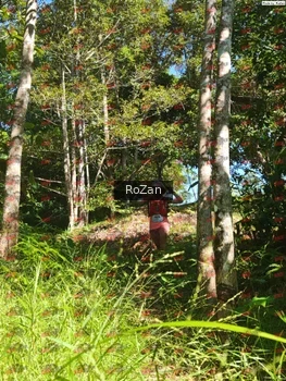 Runner Photo 5414