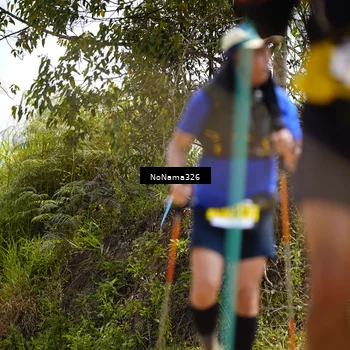 Runner Photo 5414315