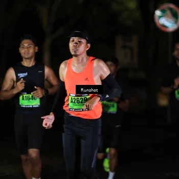 Runner Photo 5415351