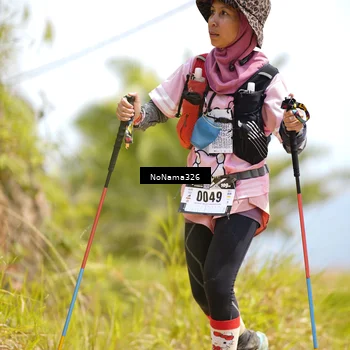 Runner Photo 5415977