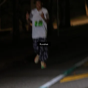 Runner Photo 5416080