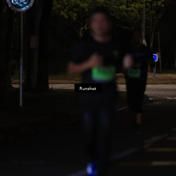 Runner Photo 5416583