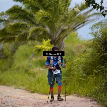 Runner Photo 5419337