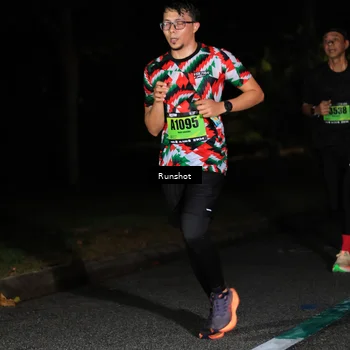 Runner Photo 5419384