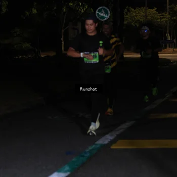 Runner Photo 5419521