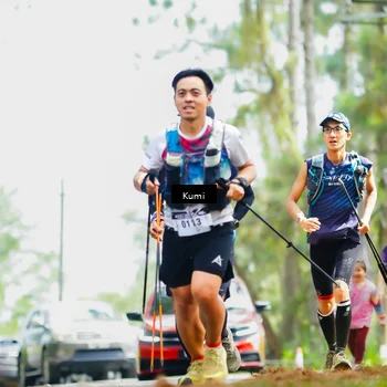 Runner Photo 5420265