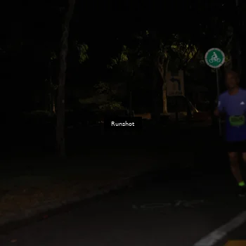 Runner Photo 5423971