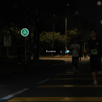 Runner Photo 5425067