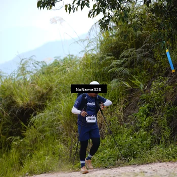 Runner Photo 5426946