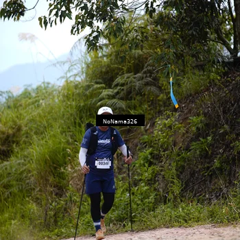 Runner Photo 5427002