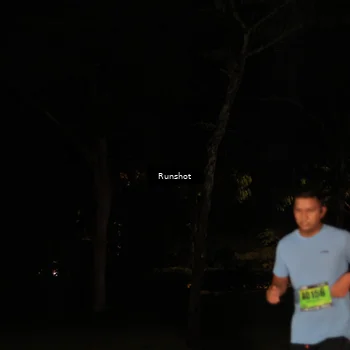 Runner Photo 5428188