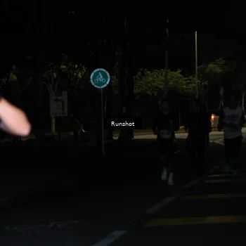 Runner Photo 5428212