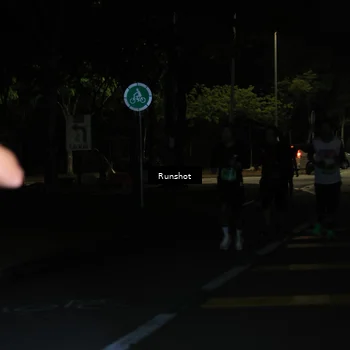 Runner Photo 5428224