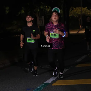 Runner Photo 5431048