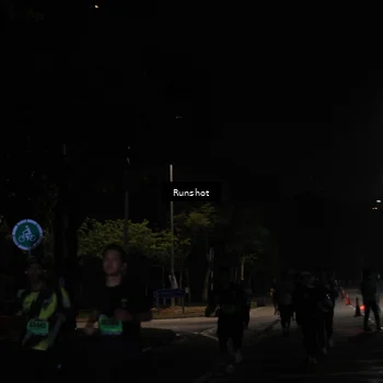 Runner Photo 5431268