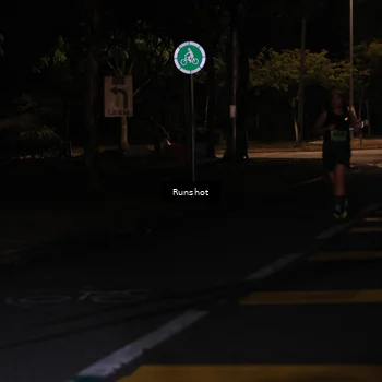 Runner Photo 5431981