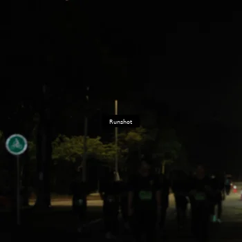 Runner Photo 5432336