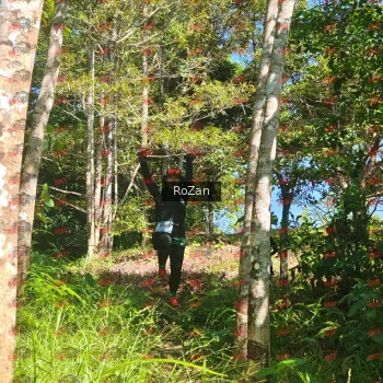 Runner Photo 5433
