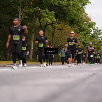 Runner Photo 5433759