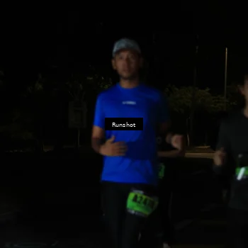 Runner Photo 5434239