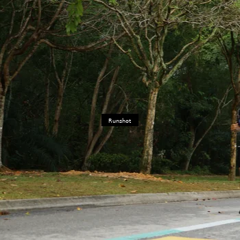 Runner Photo 5436183