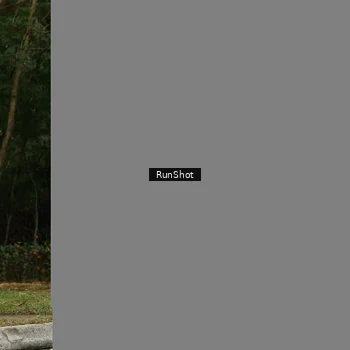Runner Photo 5441903