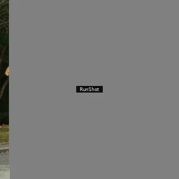 Runner Photo 5444251