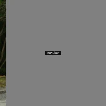 Runner Photo 5444253