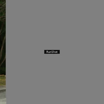 Runner Photo 5444254
